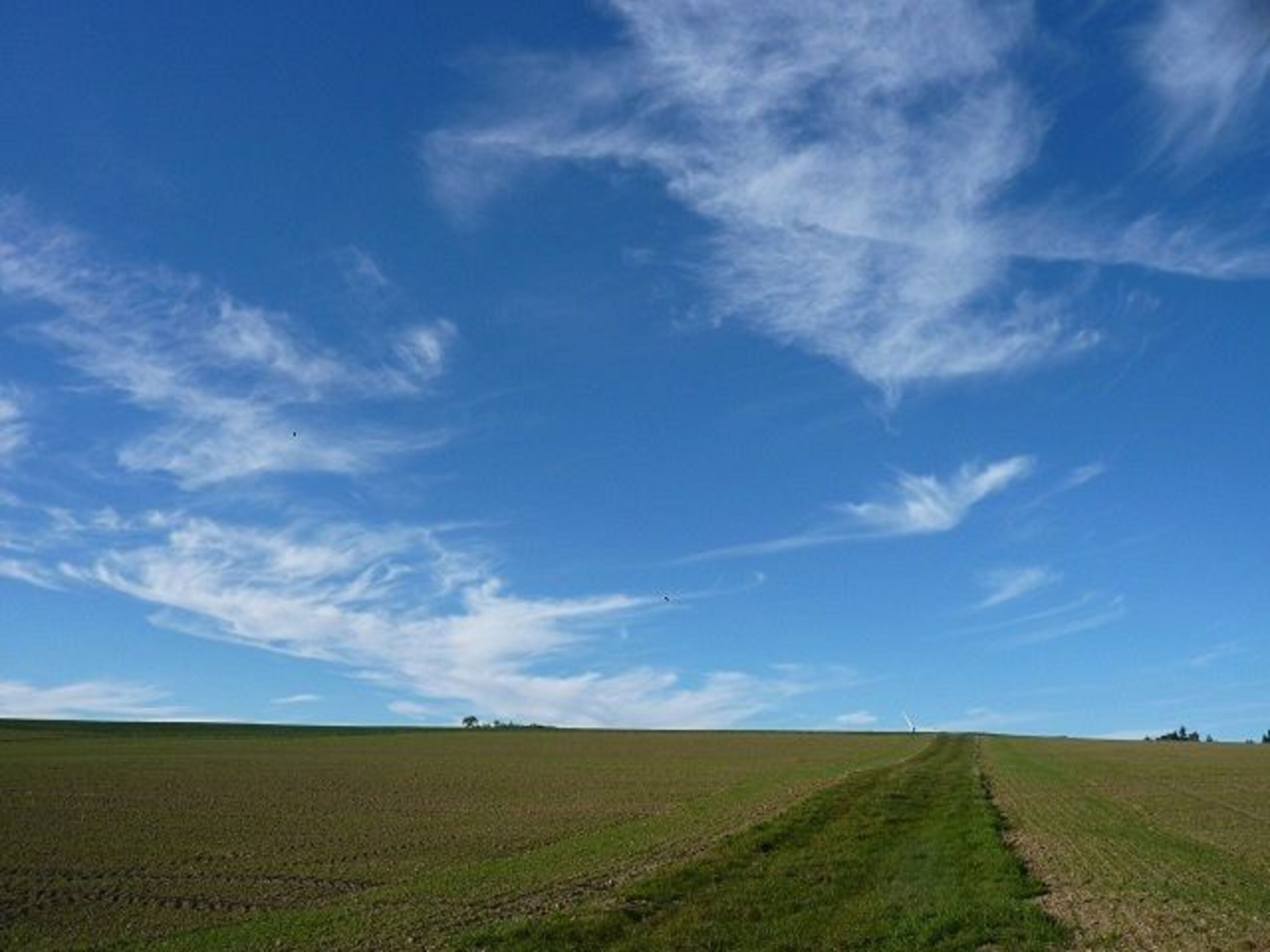 Umgebung