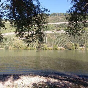 Der Moselstrand - 150 m entfernt