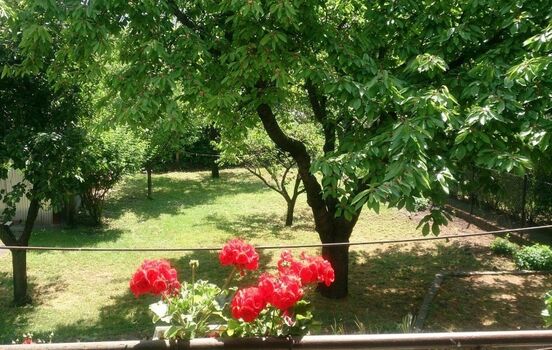 Sommerblick von der Terrasse