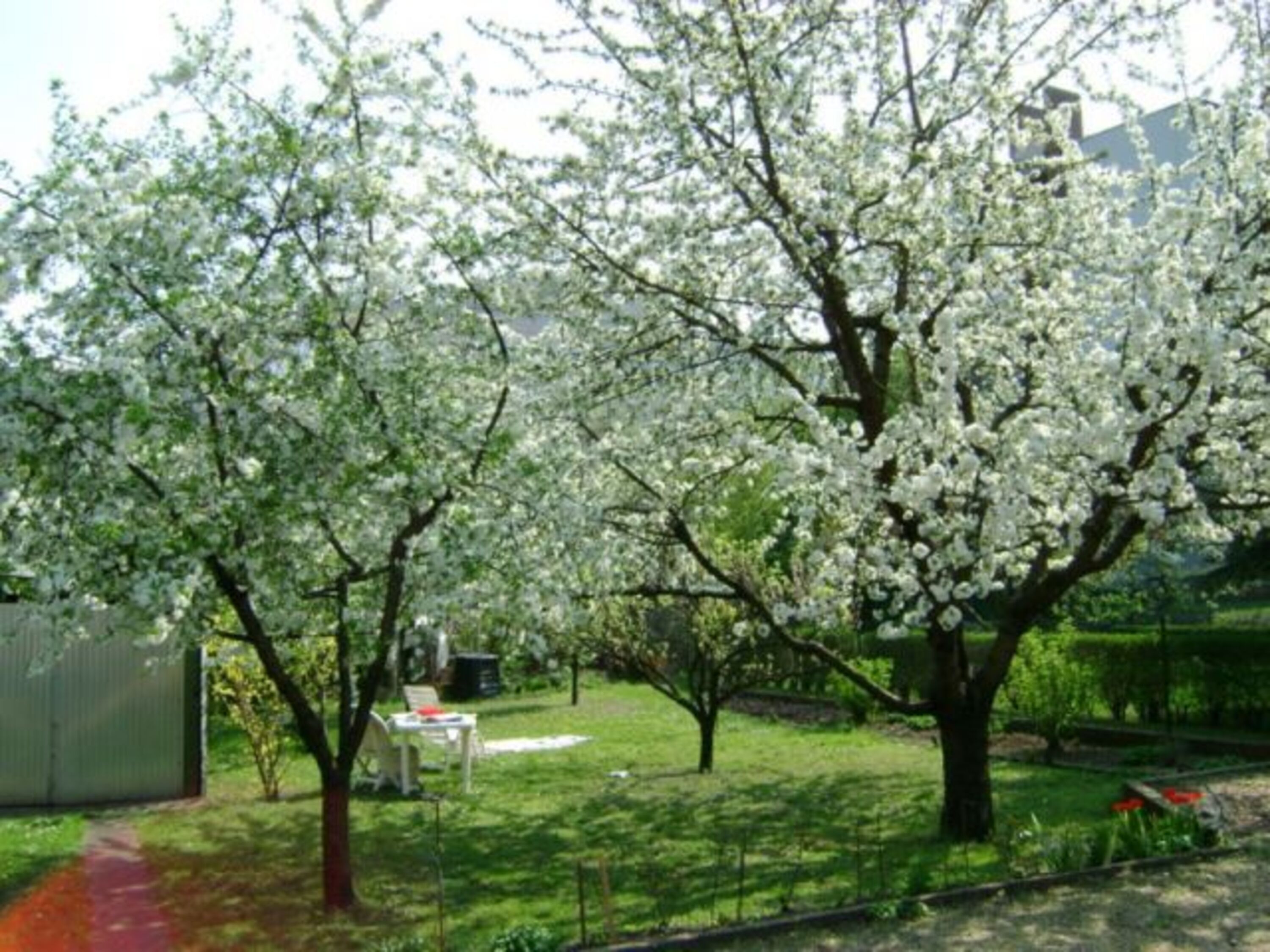 Garten