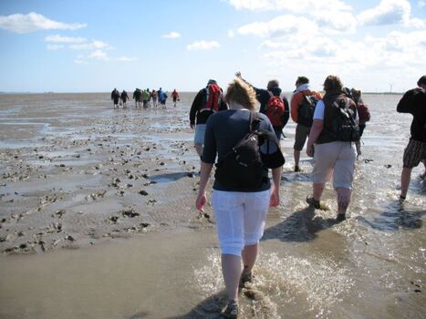 Wattwanderung Baltrum