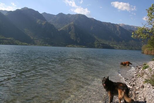 Wandern, Schwimmen, Relaxen