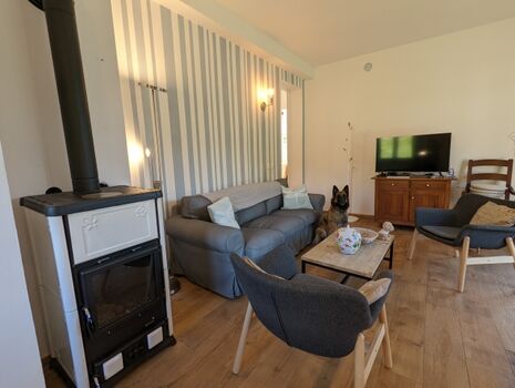 gemütlicher Kaminofen