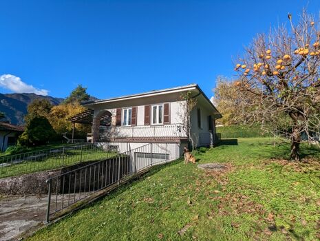 Ferienhaus mit eingezäunten Garten 
