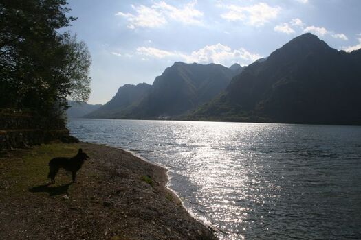 Urlaub mit dem Hund am Idrosee