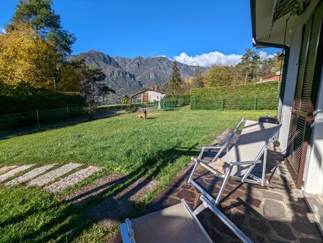 komplett eingezäunter Garten