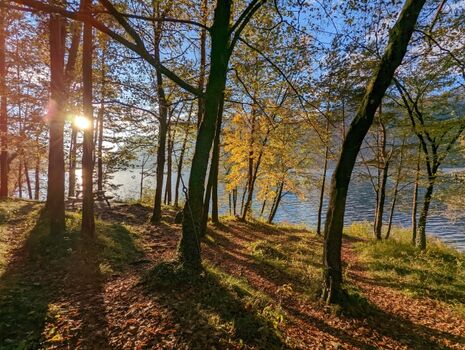 Abendstimmung am See