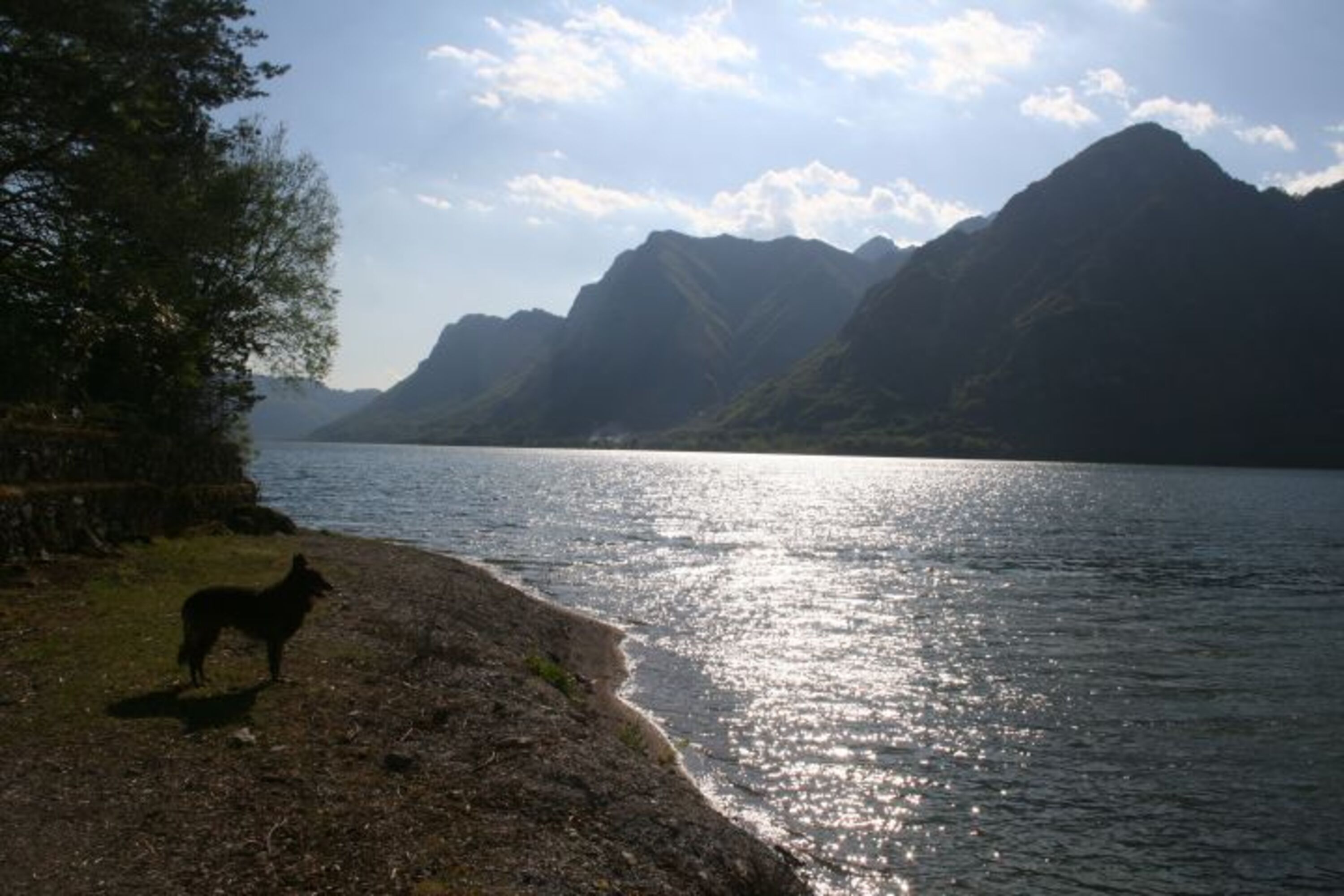 Urlaub mit dem Hund am Idrosee