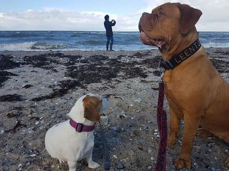 Die ersten Meeressüchtigen....da werfen wir mal entspannt einen Blick drauf????