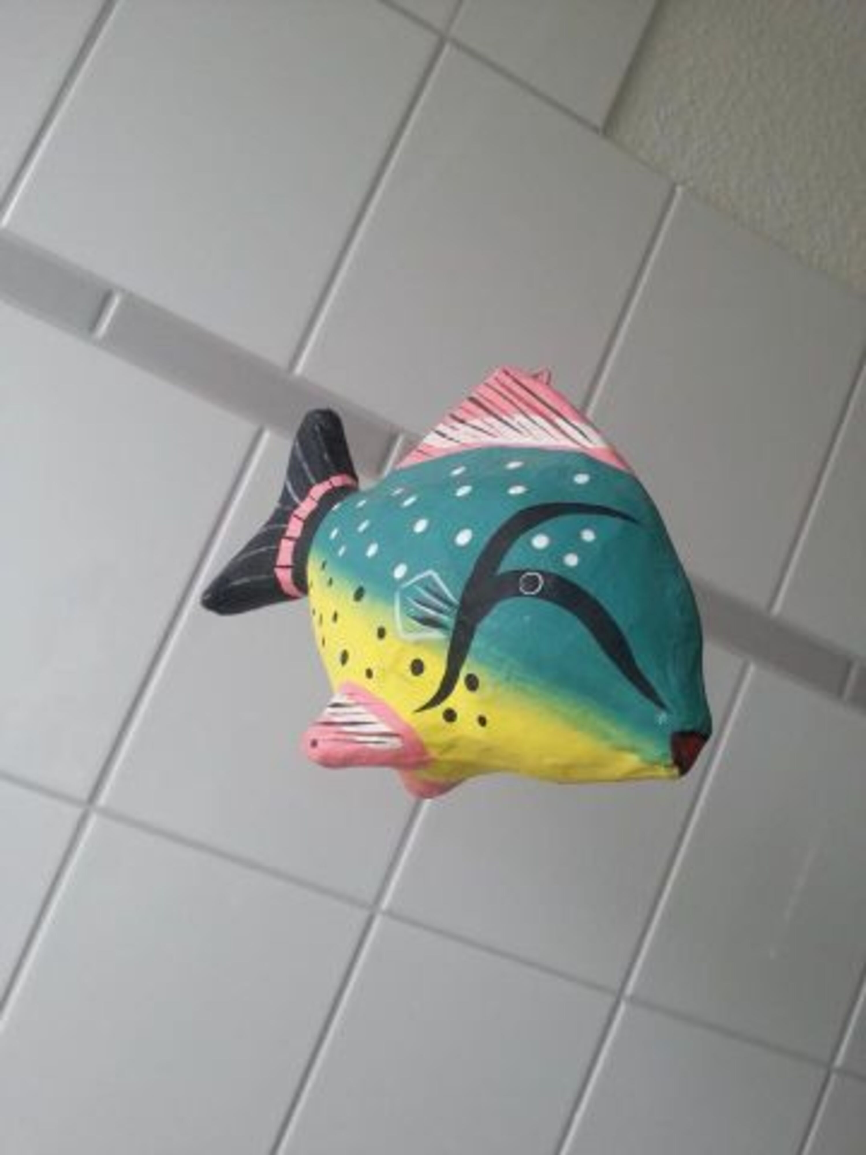 Petri heil- wenn die Fische mal wieder tief fliegen!????