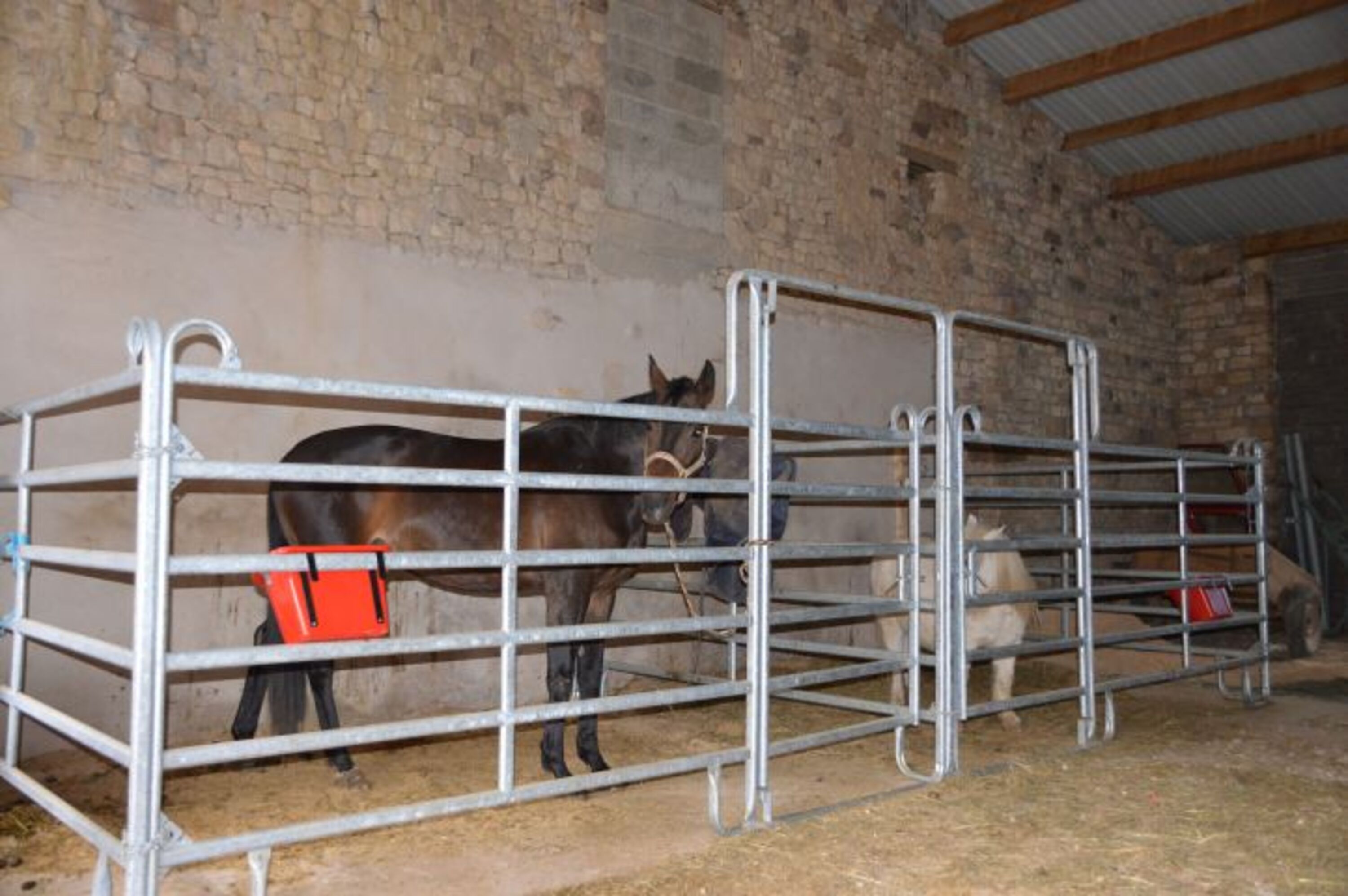 unsere Gastboxen