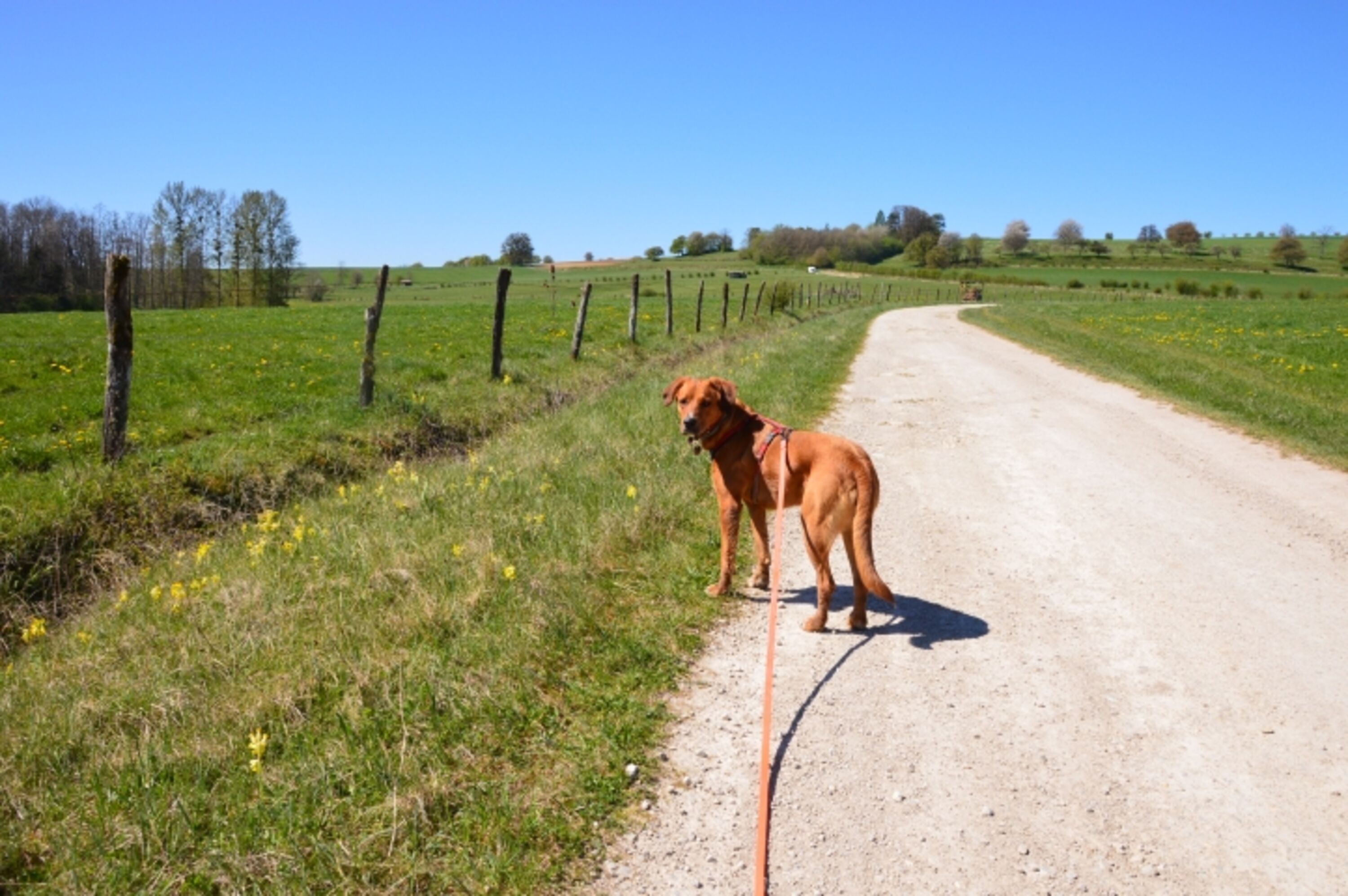 endlose ausgeschilderte Wanderwege 