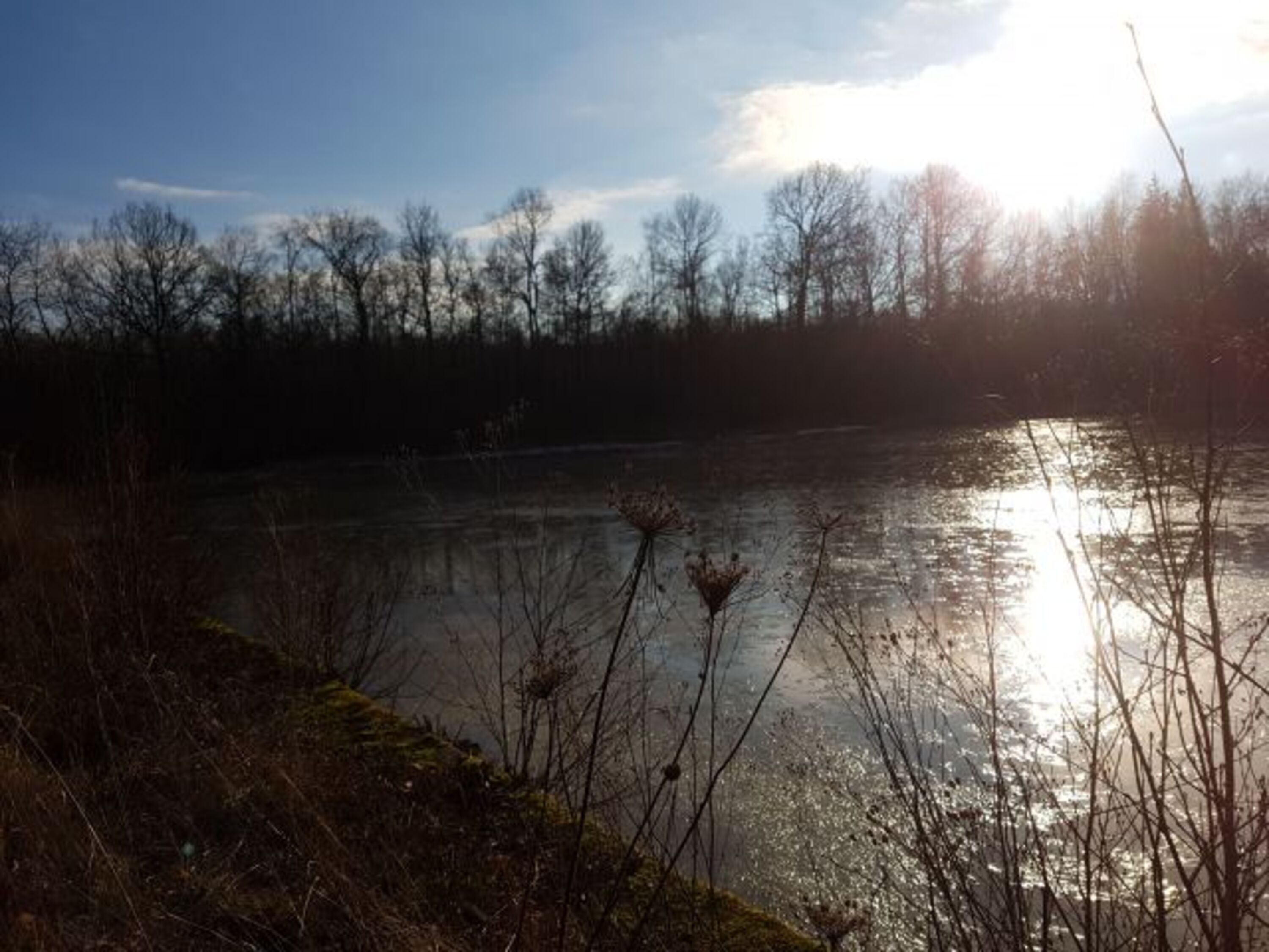 Etang de Flabémont 