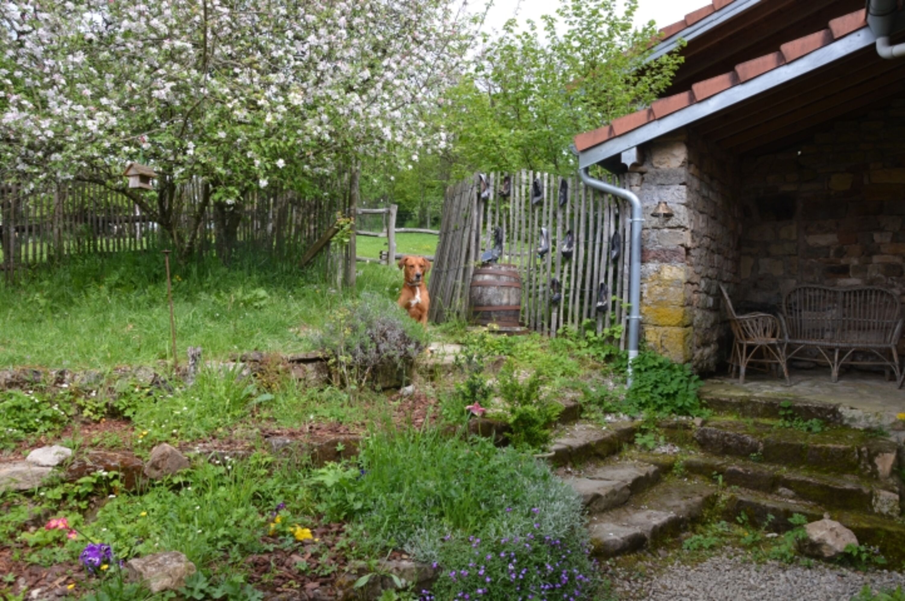 Bild 13