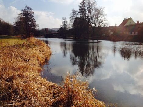 Badestelle für Hunde ca. 3,5km entfernt. Informationen liegen aus