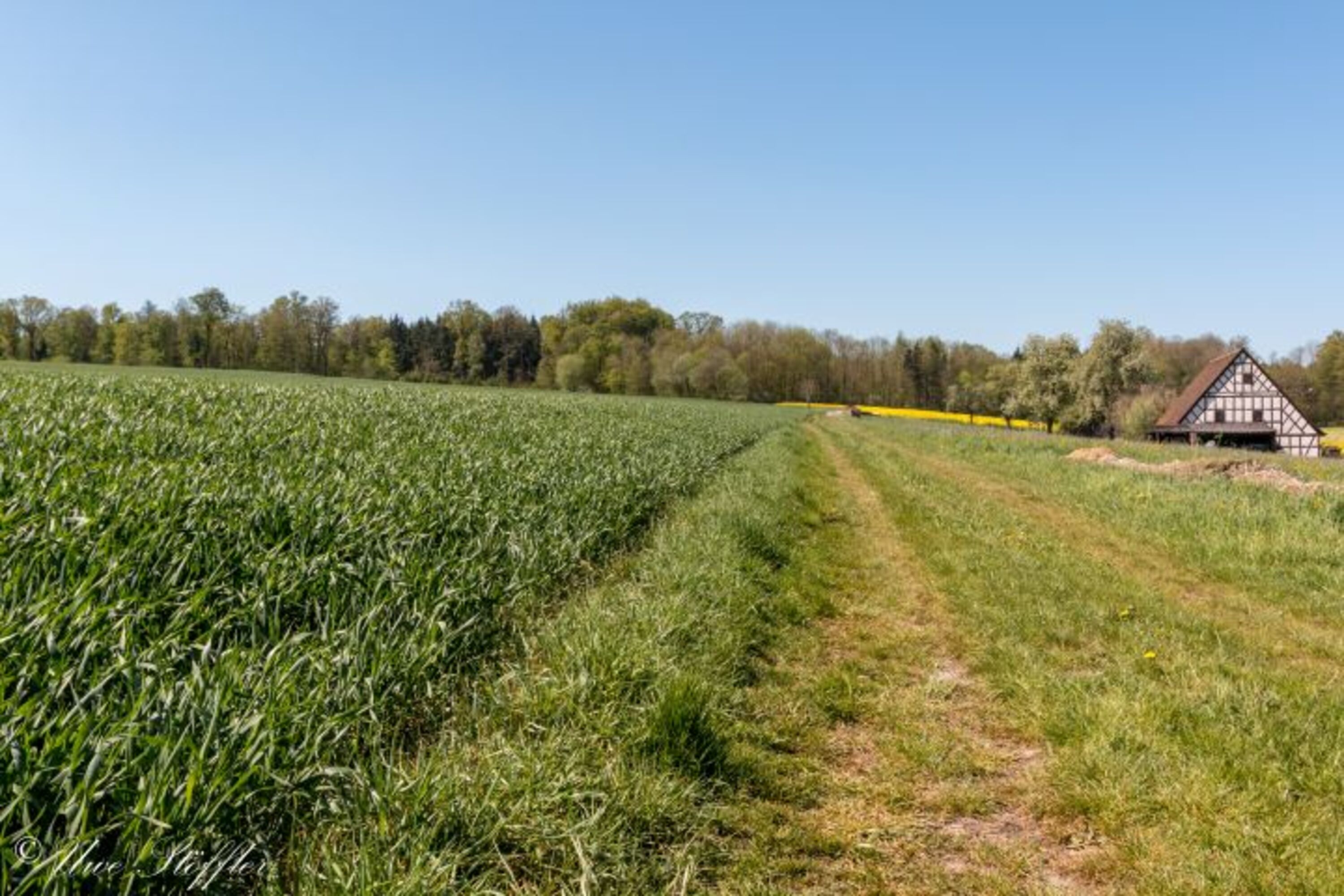 Wege in die Natur
