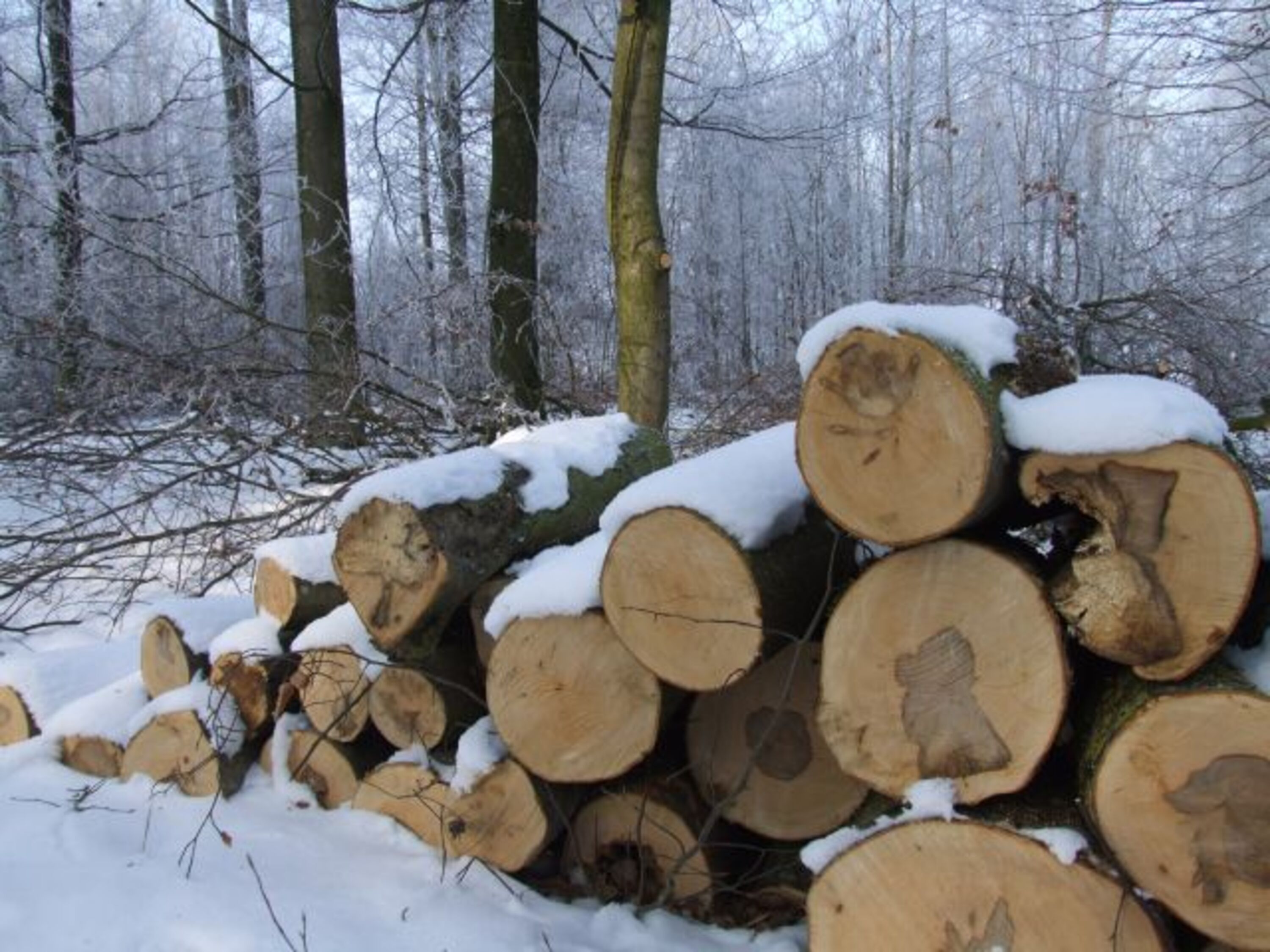 Bild 19