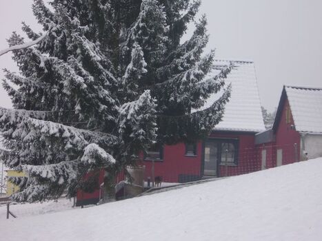 Winter Garten und Terrasse