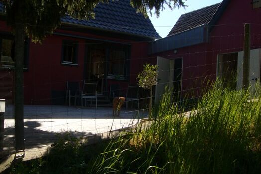 Zugang Terrase z.Garage und Schuppen