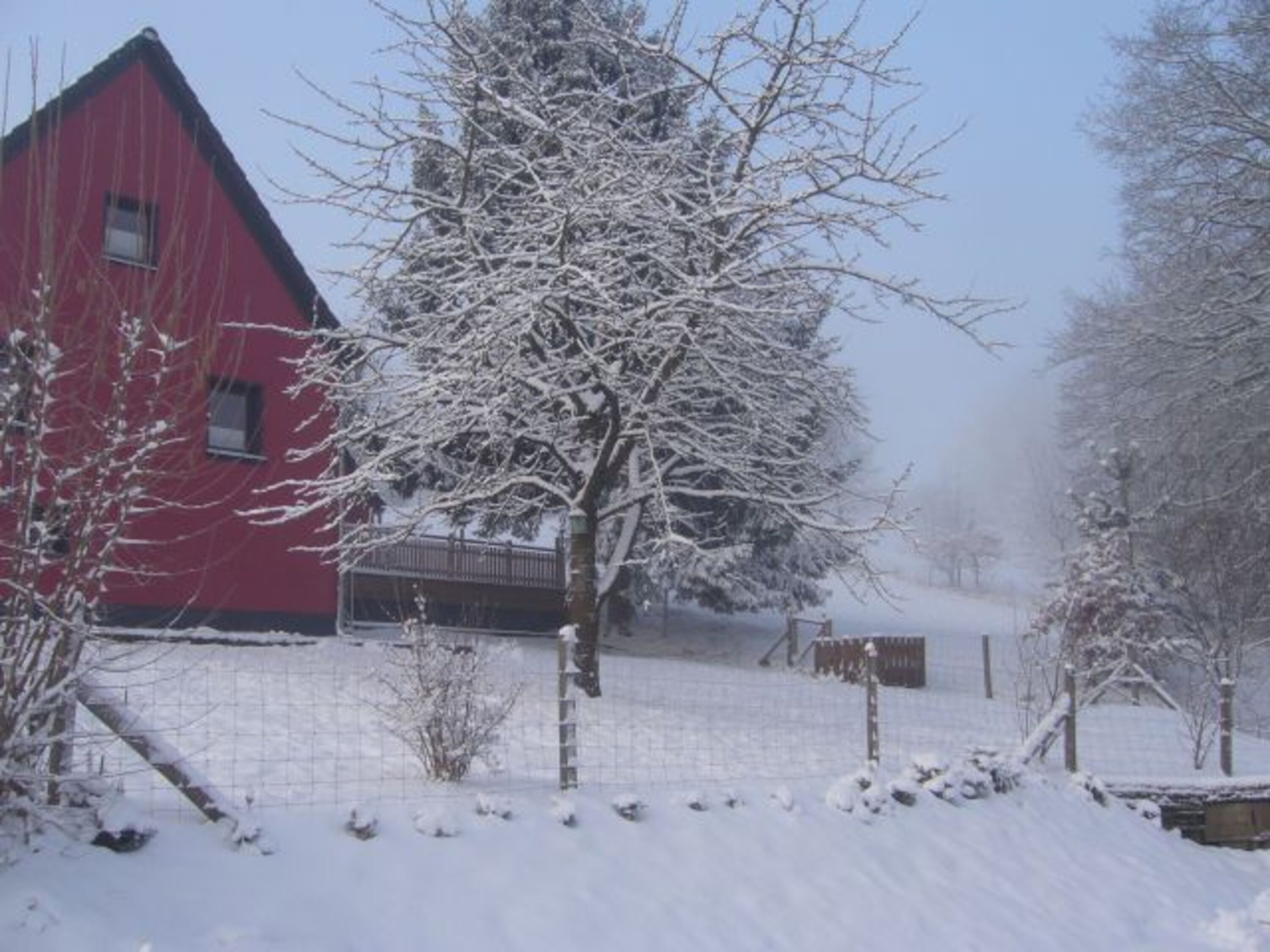 Winter im Garten
