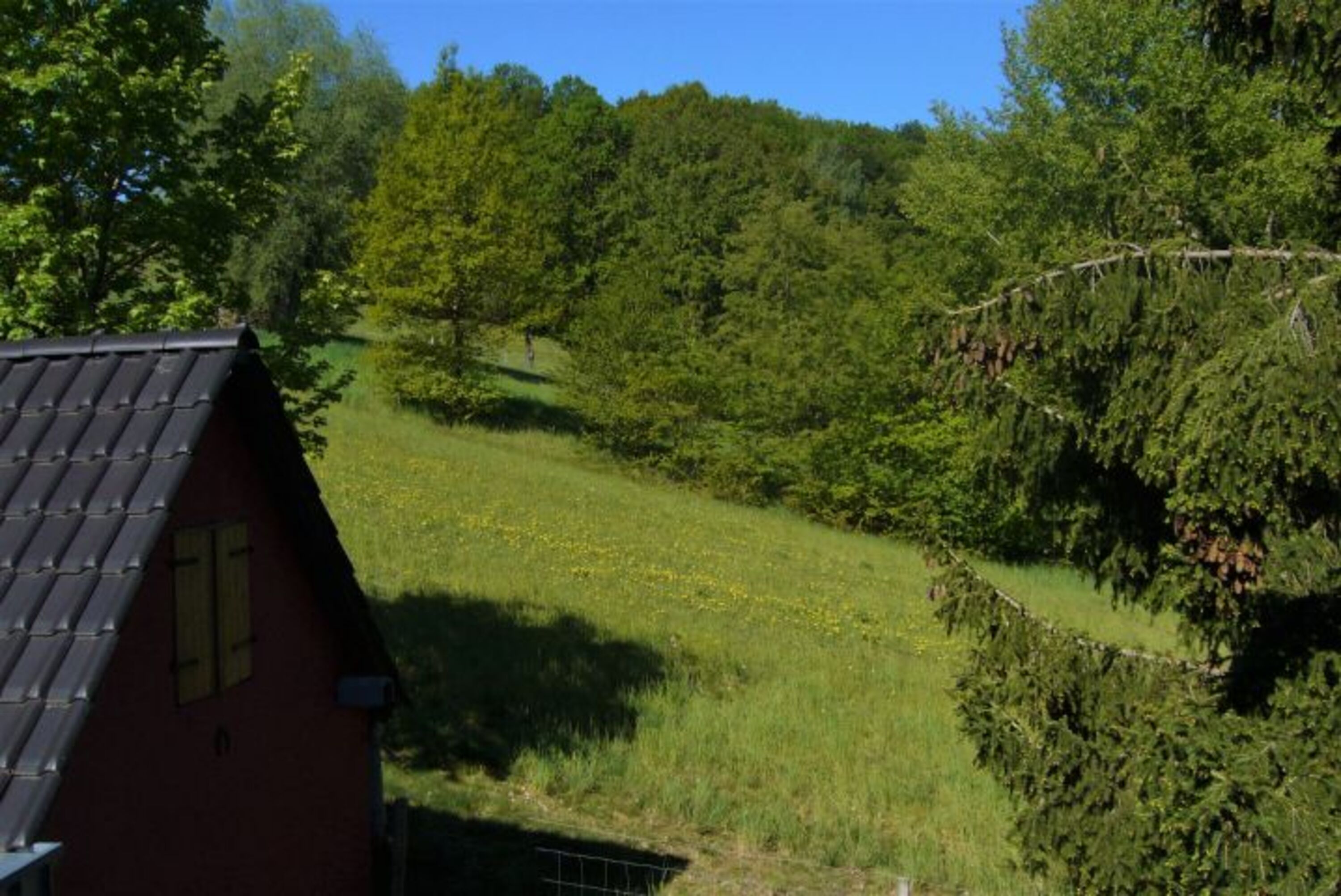 Ausblick 1.OG