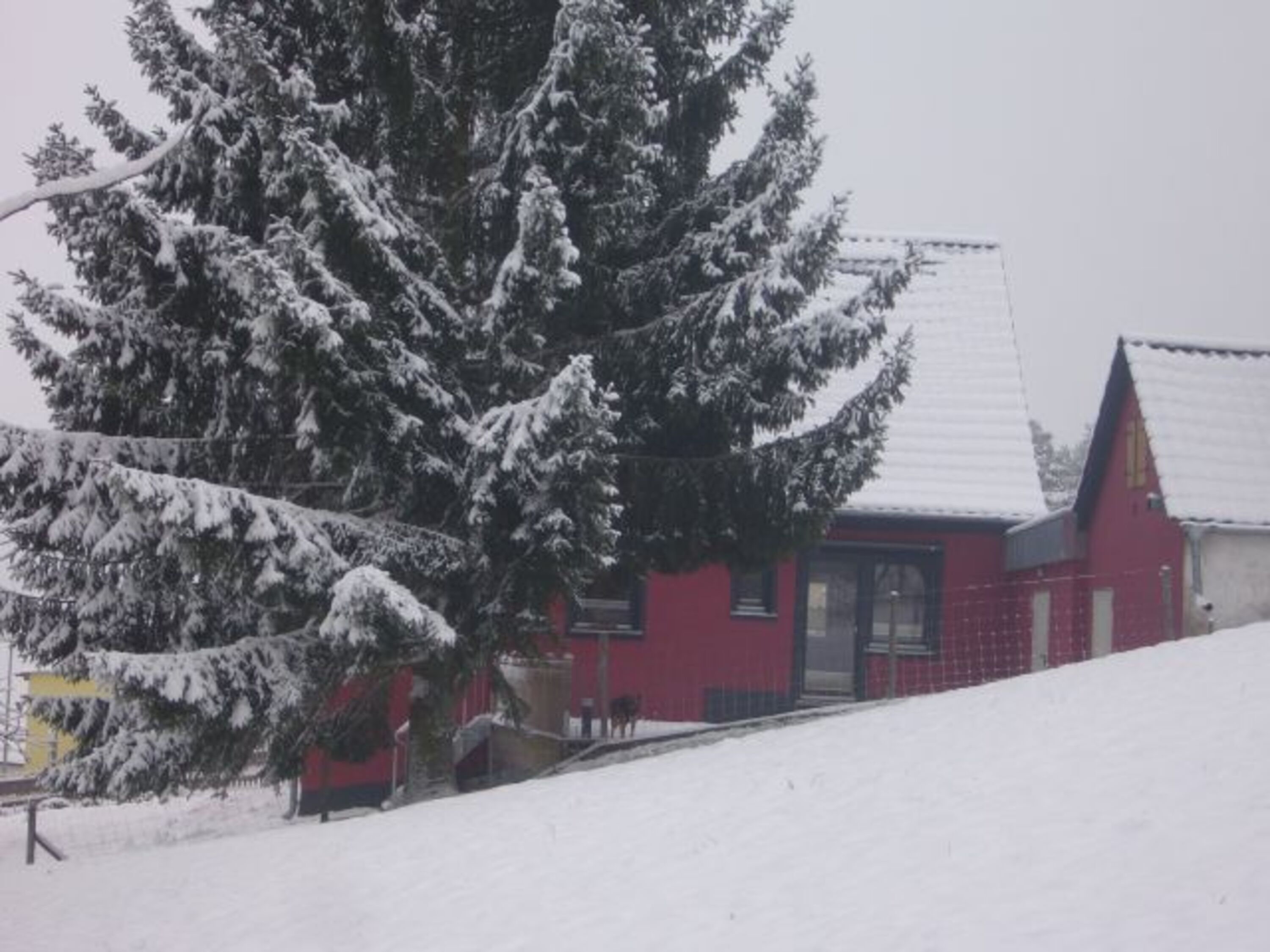Winter Garten und Terrasse