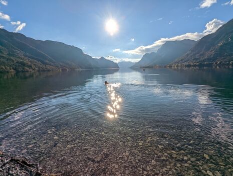 Schwimmen, Relaxen, Wandern