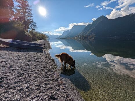 Bademöglichkeit am See