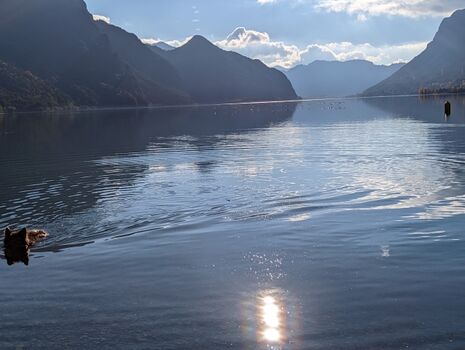 Schwimmen, Relaxen, Wandern