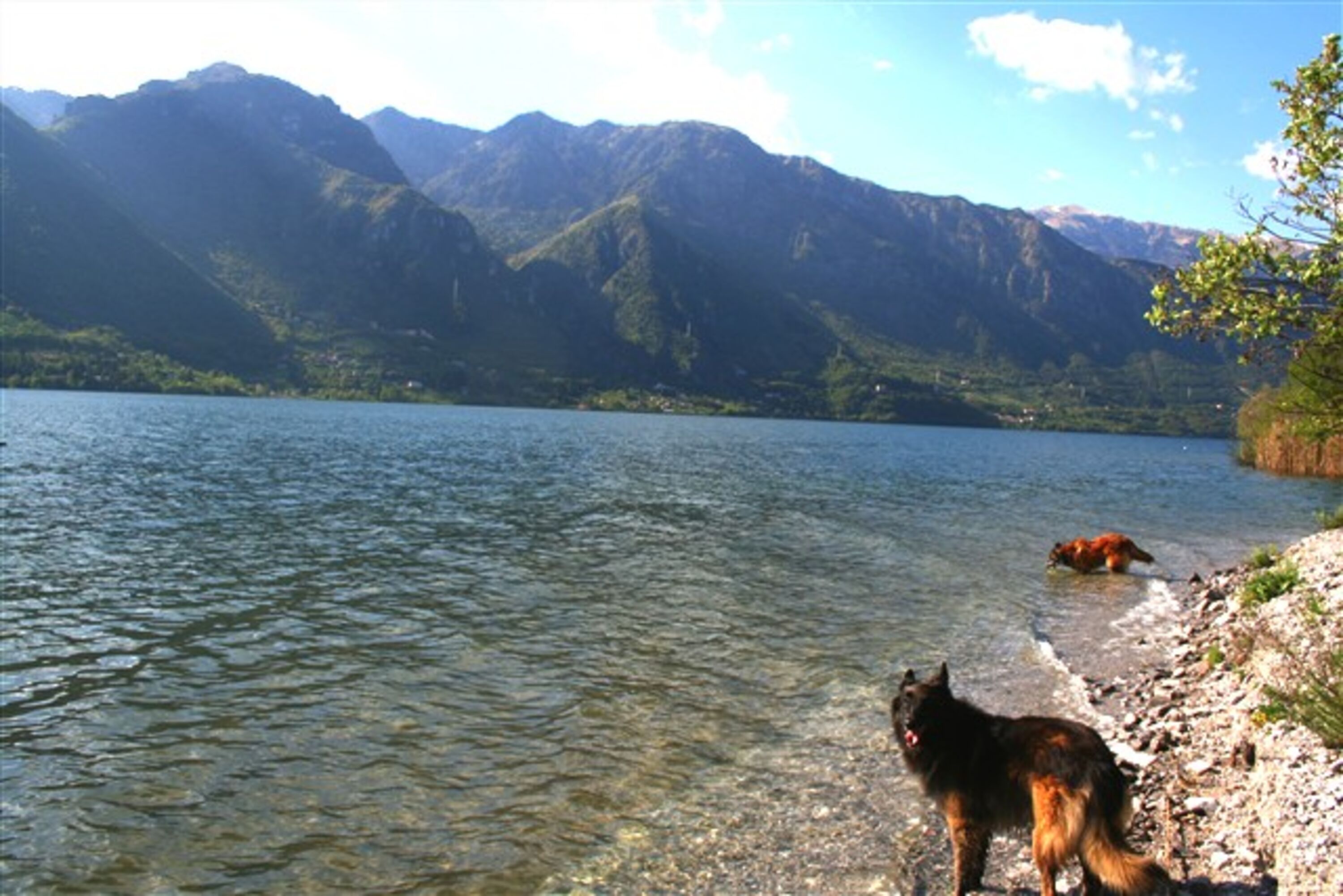 Schwimmen, Relaxen, Wandern