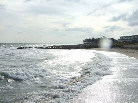 Der Schönhagener Strand