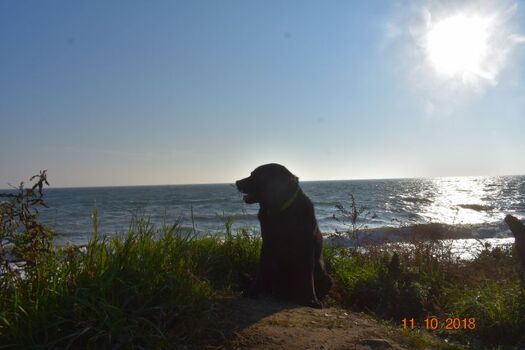 Der Naturstrand im Naturschutzgebiet Schwansener See