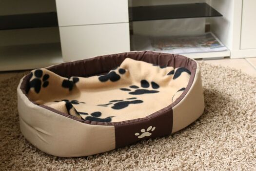 Ein Teil der vorhandenen Ausstattung für vierbeinige Urlauber