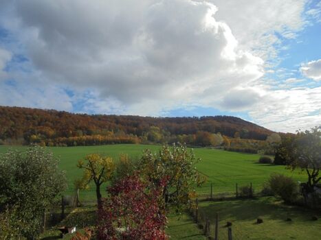 Landschaft von Martinfeld