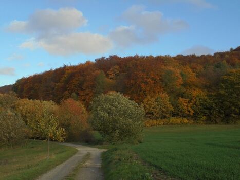 Landschaft von Martinfeld