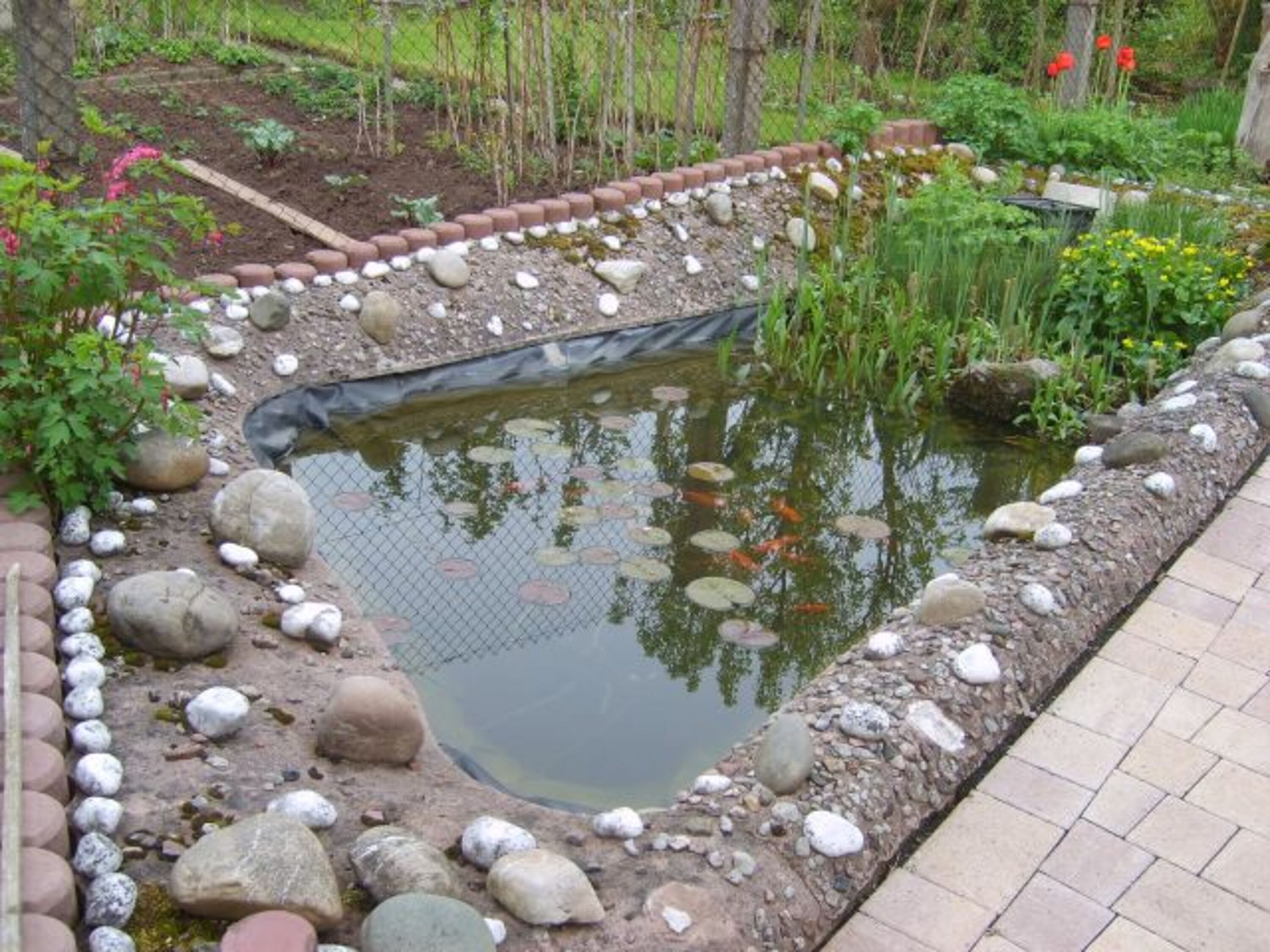 Bild 4