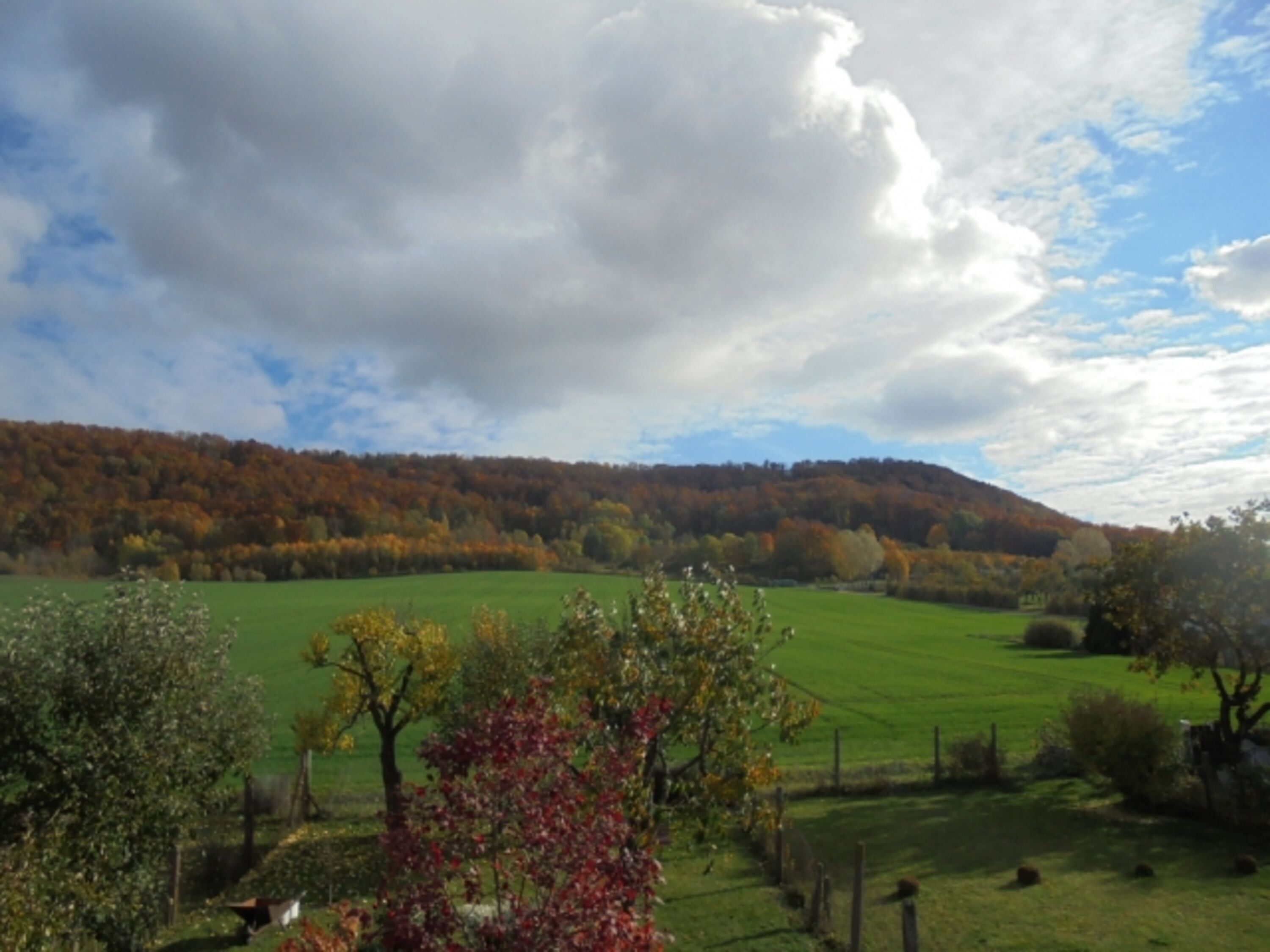 Landschaft von Martinfeld