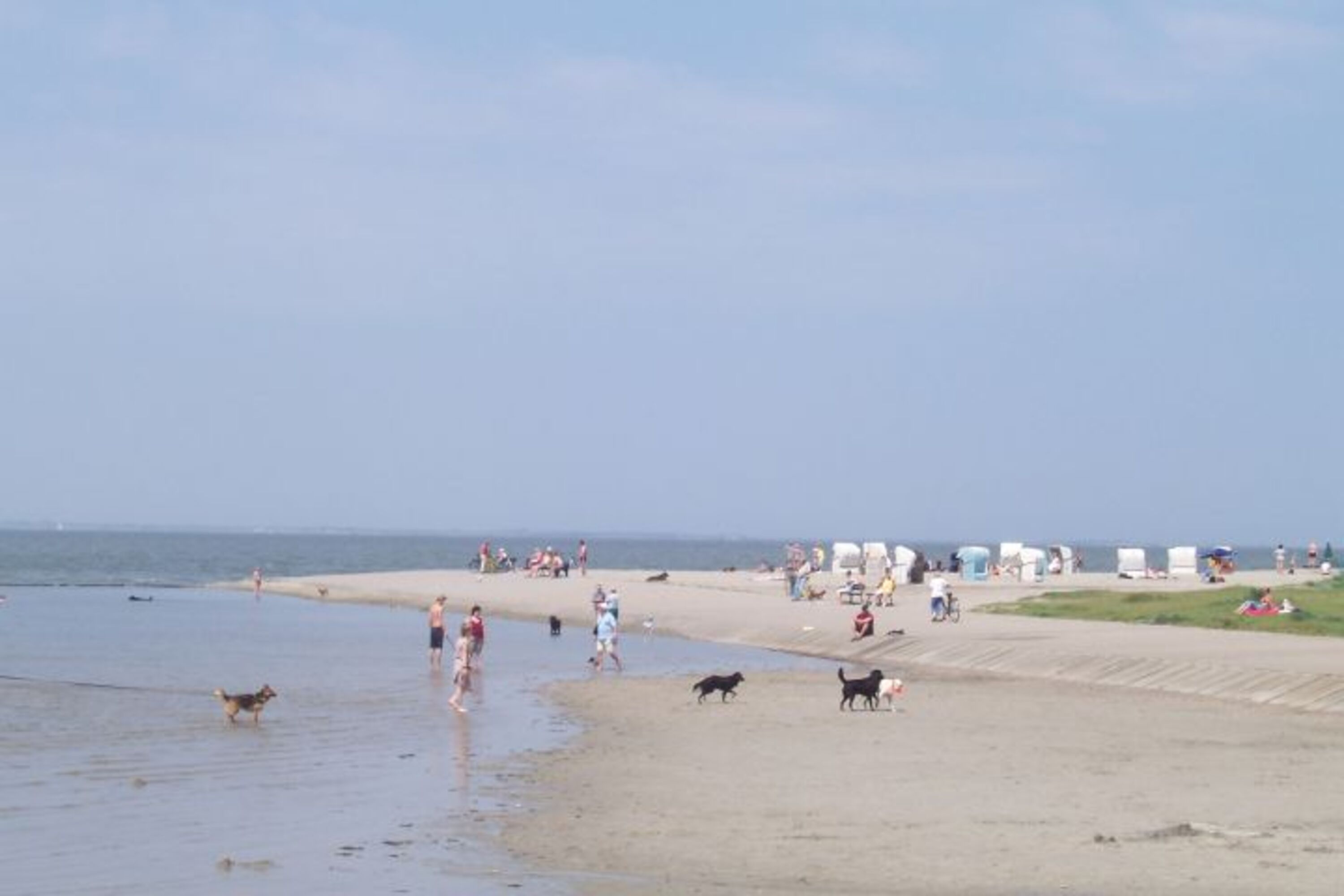 Bild 6