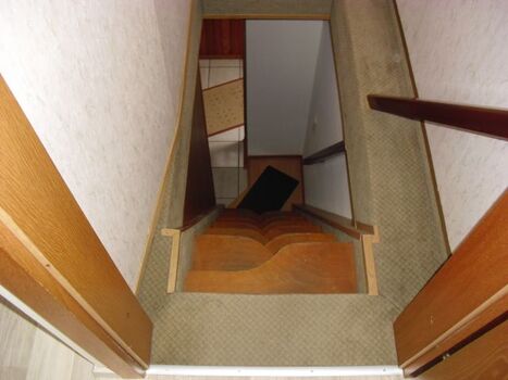 Wechselschritttreppe