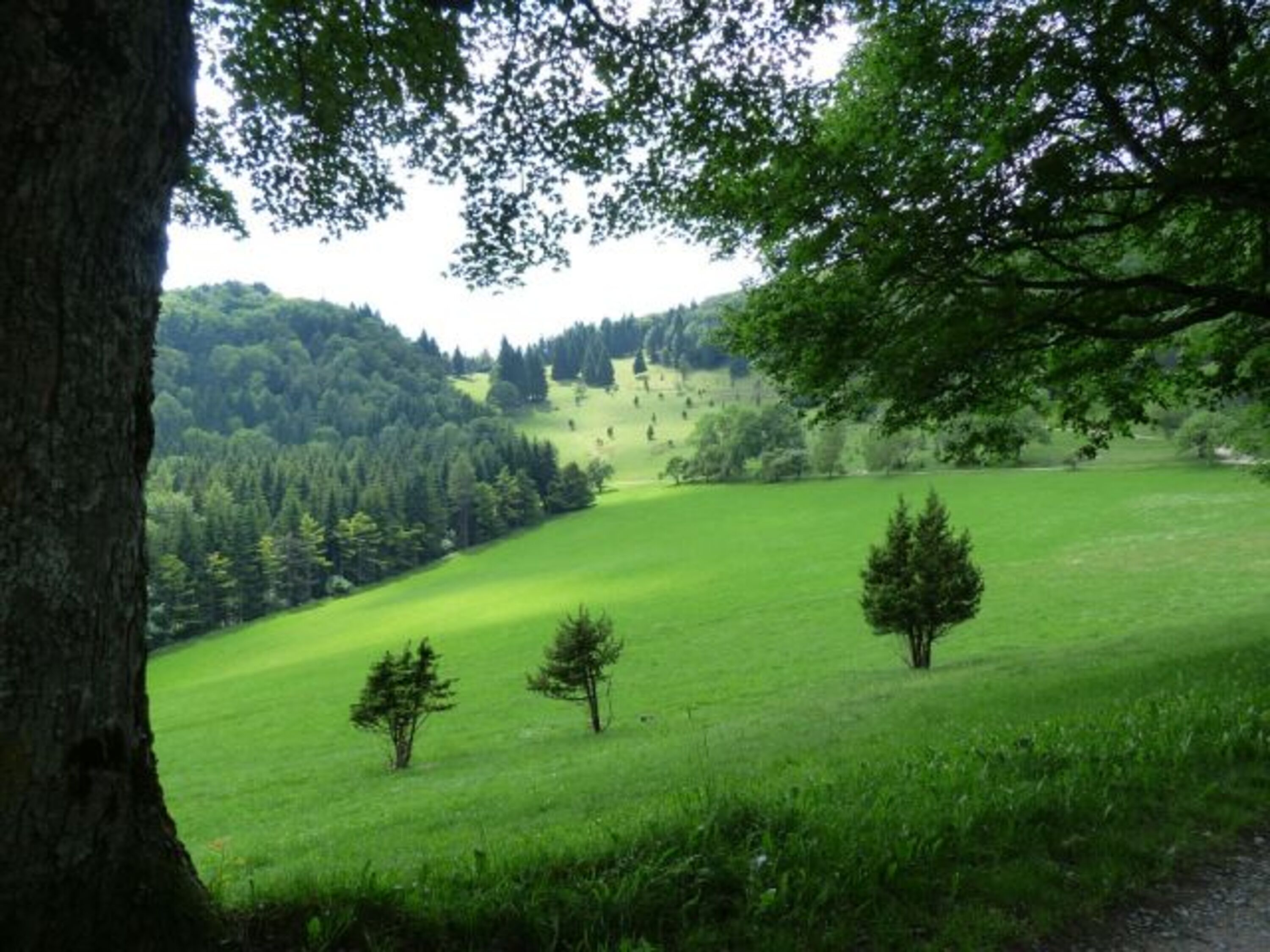 Bild 23