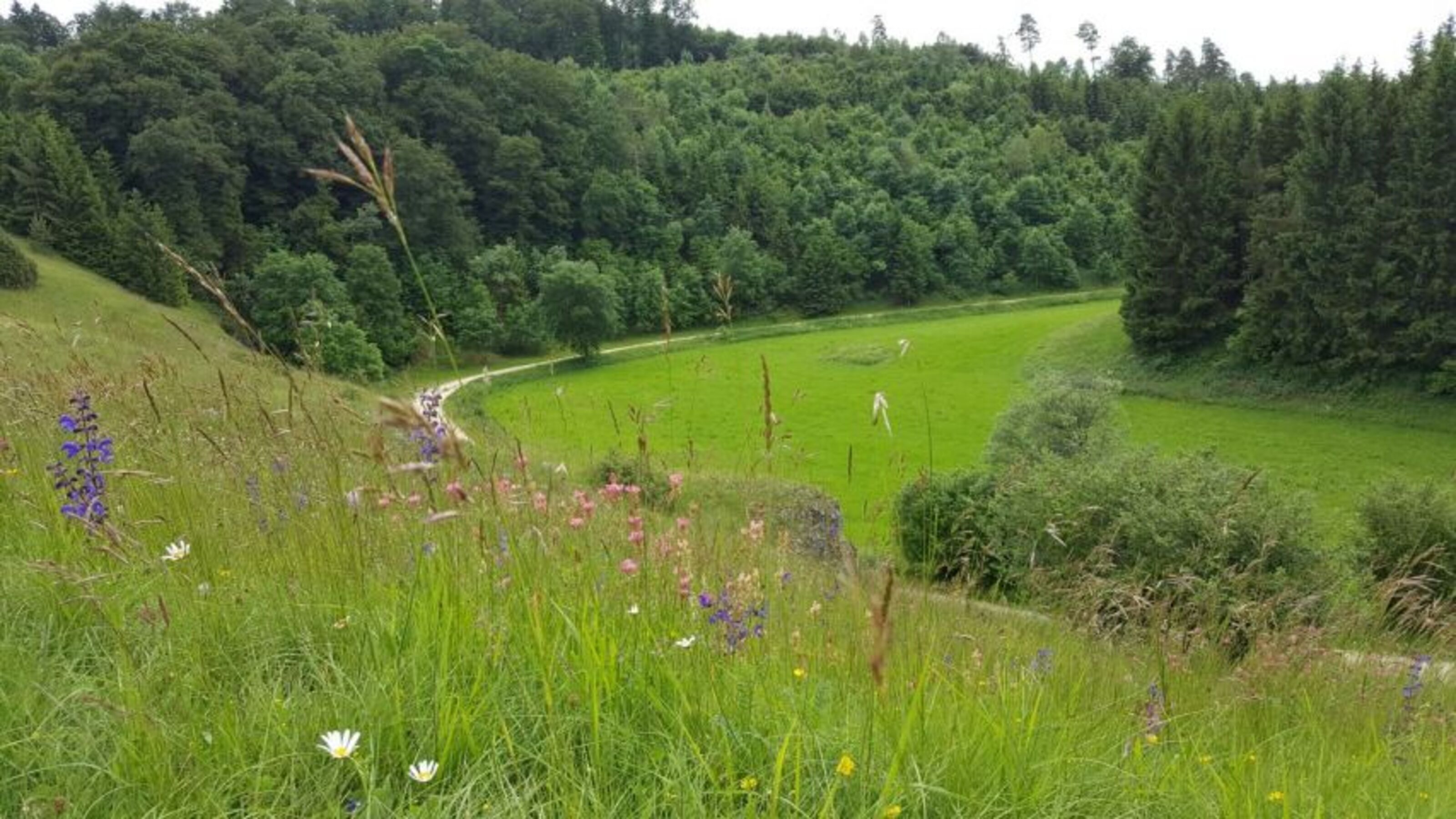 Bild 22