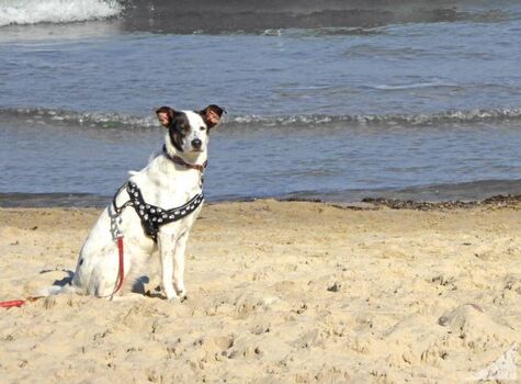 Der Strand ist hier für alle da.