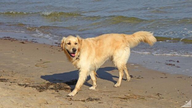 Und es dürfen auch alle ins Wasser.