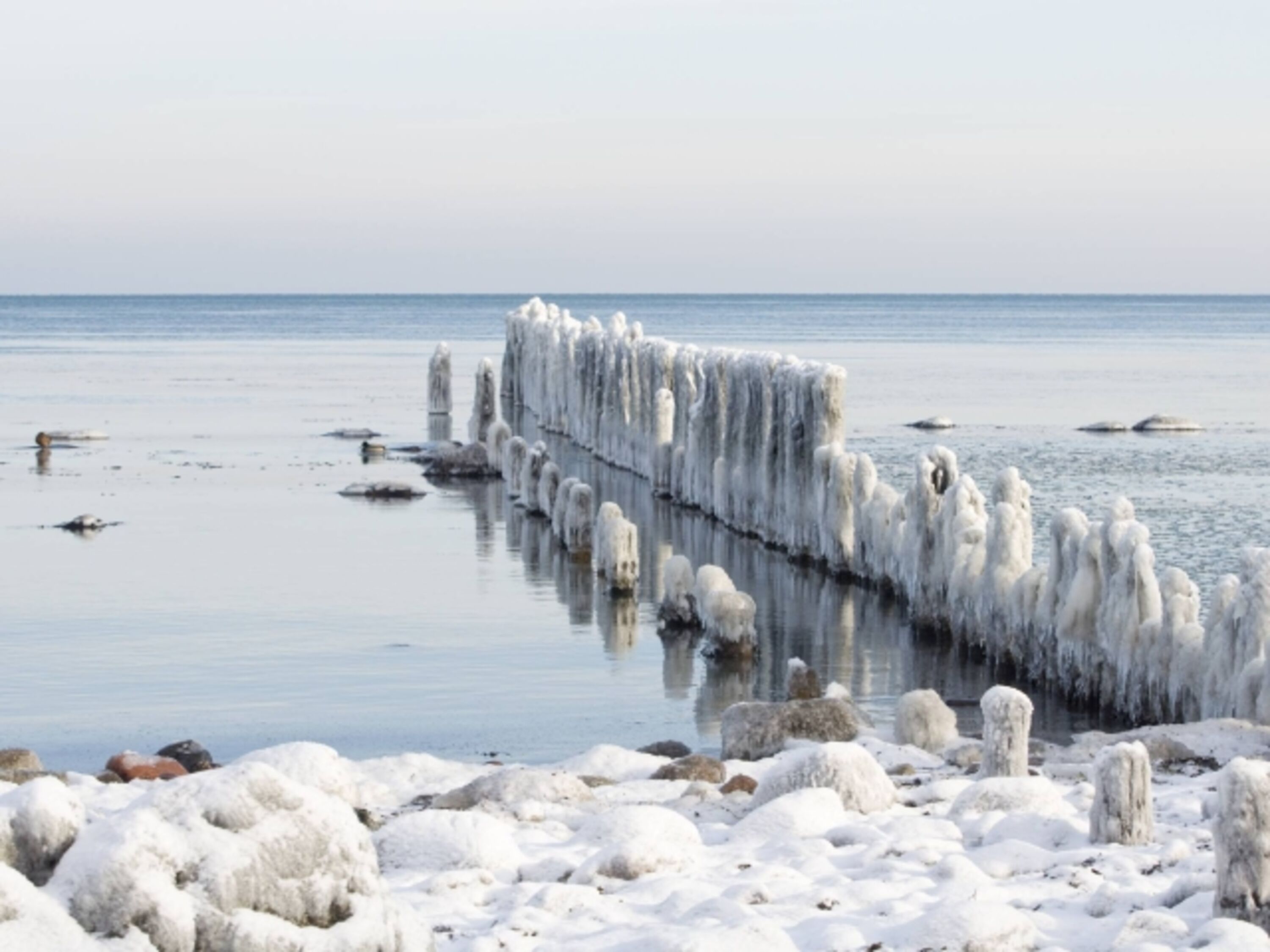 Winter auf Rügen.