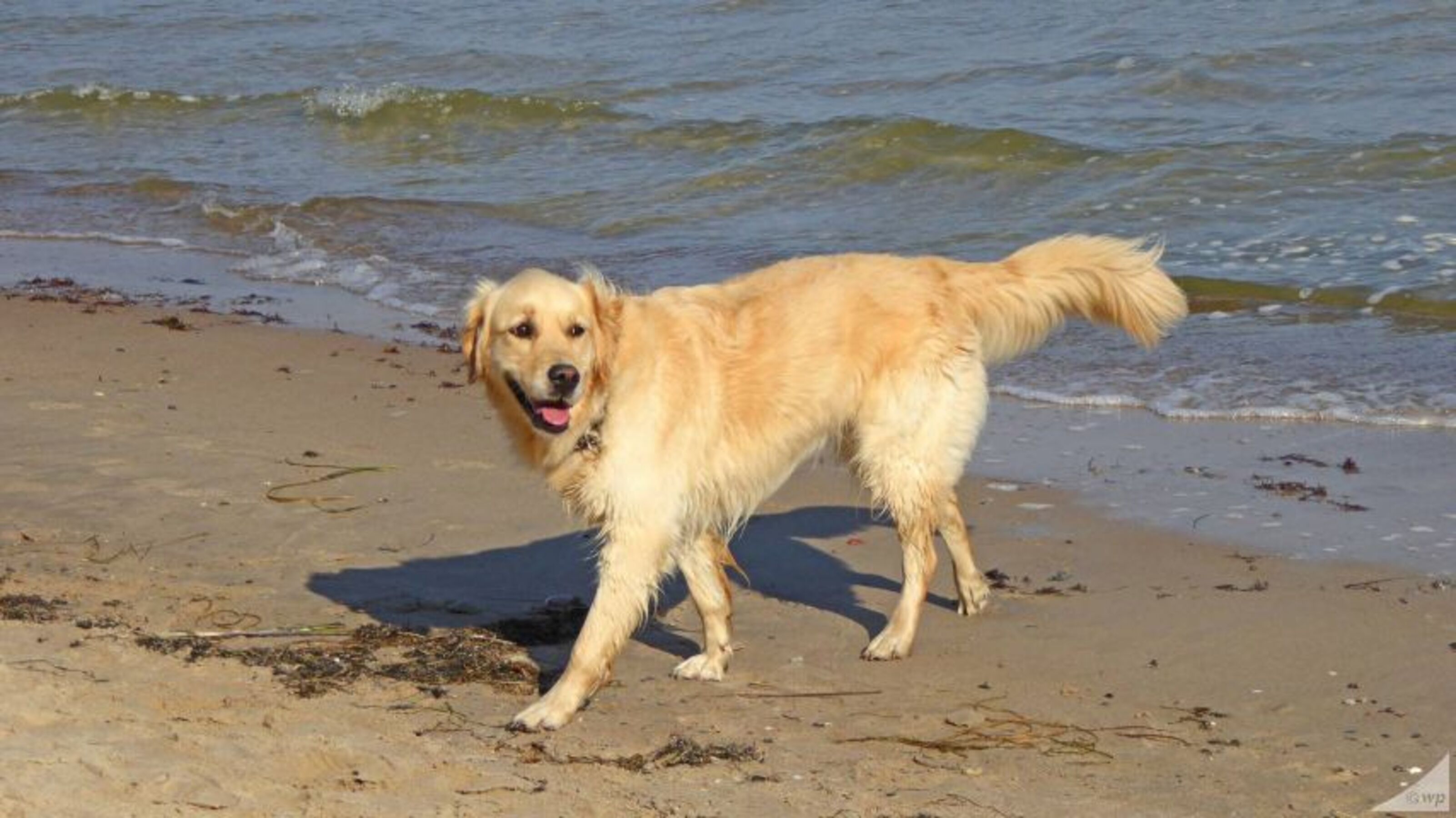 Und es dürfen auch alle ins Wasser.