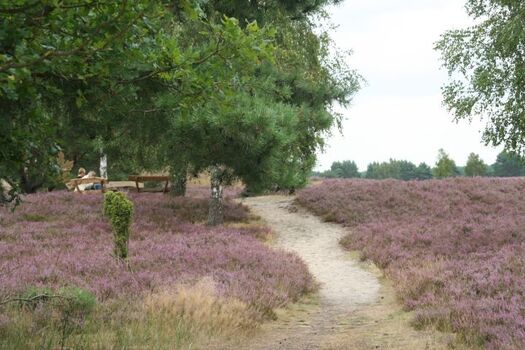 Nemitzer Heide, 5 Minuten entfernt