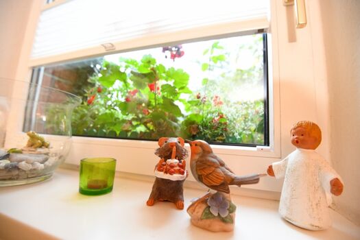 Das Fenster zur Strasse