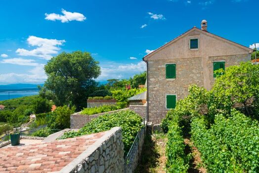 Villa Milka - Weineben