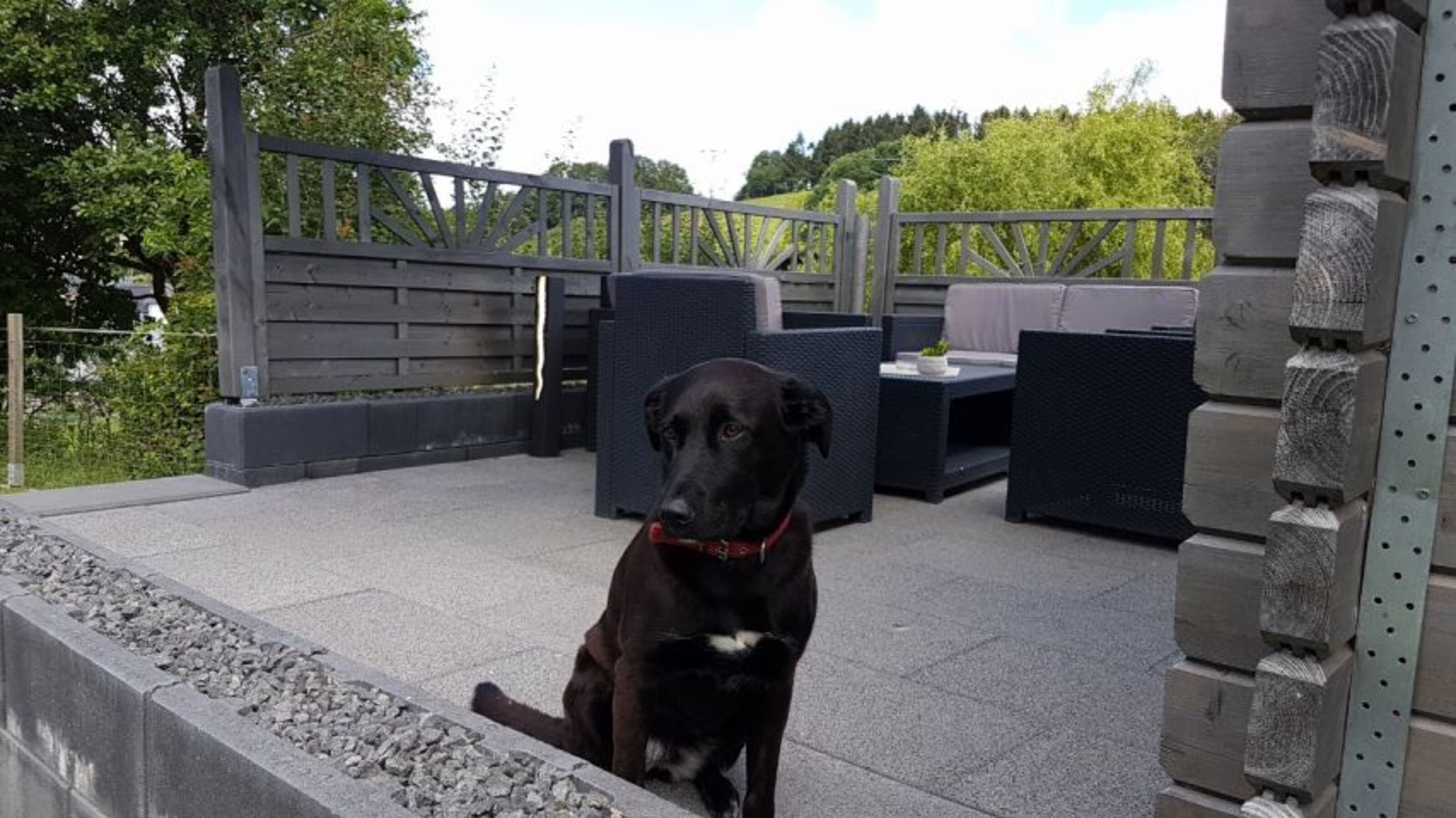 Hunde herzlich Willkommen, Grundstück komplett umzäunt