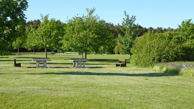 Tischtennisschläger nicht vergessen einzupacken!